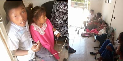 Pánico en el colegio: enjambre de abejas atacó a niños en plena clase