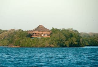 ¿Qué hacer en Cartagena? destino predilecto para vacacionar