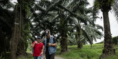 Amenazas de la ruta migratoria en Guatemala: dengue, arrestos y el cambio climático