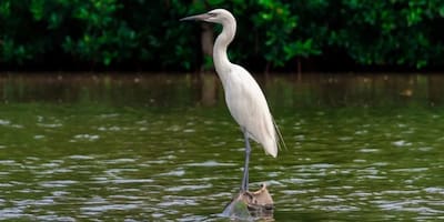 Avances en turismo sostenible en Colombia: encuentro de gestores de destinos